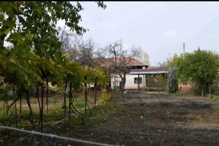 Vidin Area, Darjanitsa, 3747, Bulgaria