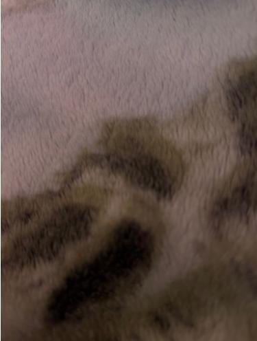 Pargeter Road, Sandwell, West Midlands, B67 5HZ