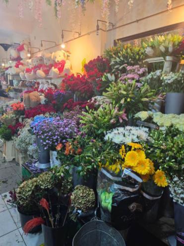 Arlington Parade, Brixton Hill, London, SW2 1RH